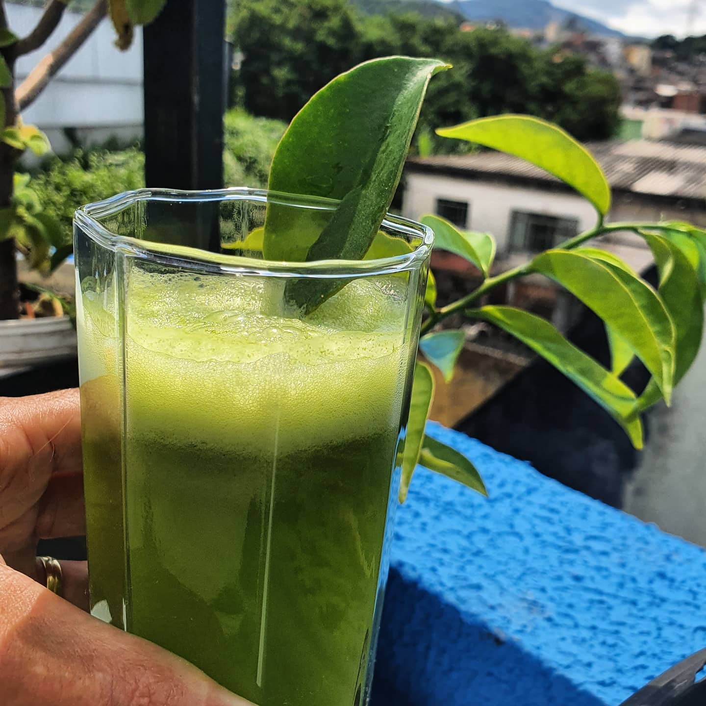 Suco De Ora Pro N Bis Para Renovar A Sa De Com Sabor Receitas Gostosas Do Chef