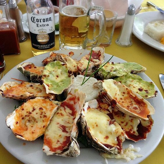 Receita de ostras gratinadas no forno: bem assadas